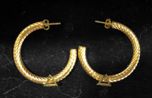 Load image into Gallery viewer, Delta Earrings