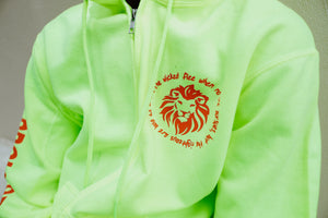 Bold as a lion - Proverbs 28:1