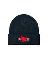 Load image into Gallery viewer, Delta Divas Beanies